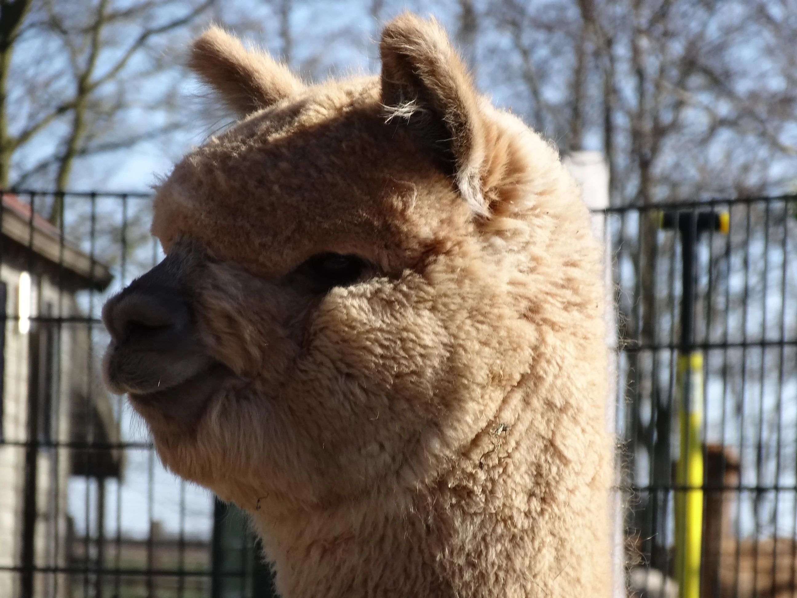 Vader: Lindetrack Gem Twist