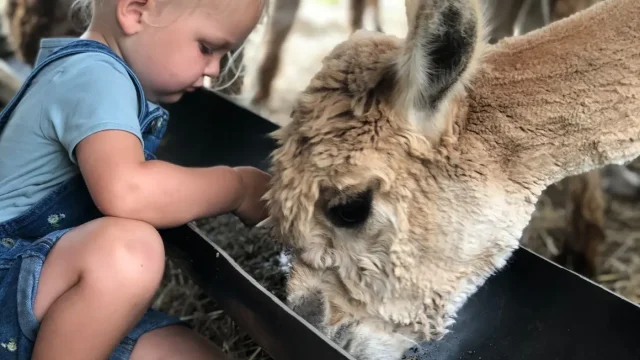 Ons team neemt de zorg zeer serieus