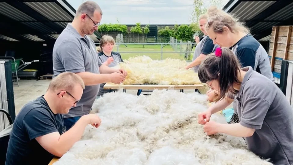 Sociaal maatschappelijk