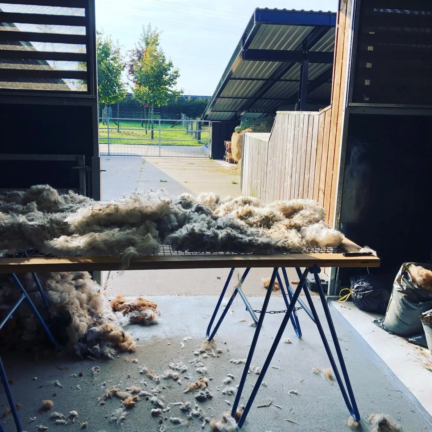 Gesorteerde alpacawol op tafel