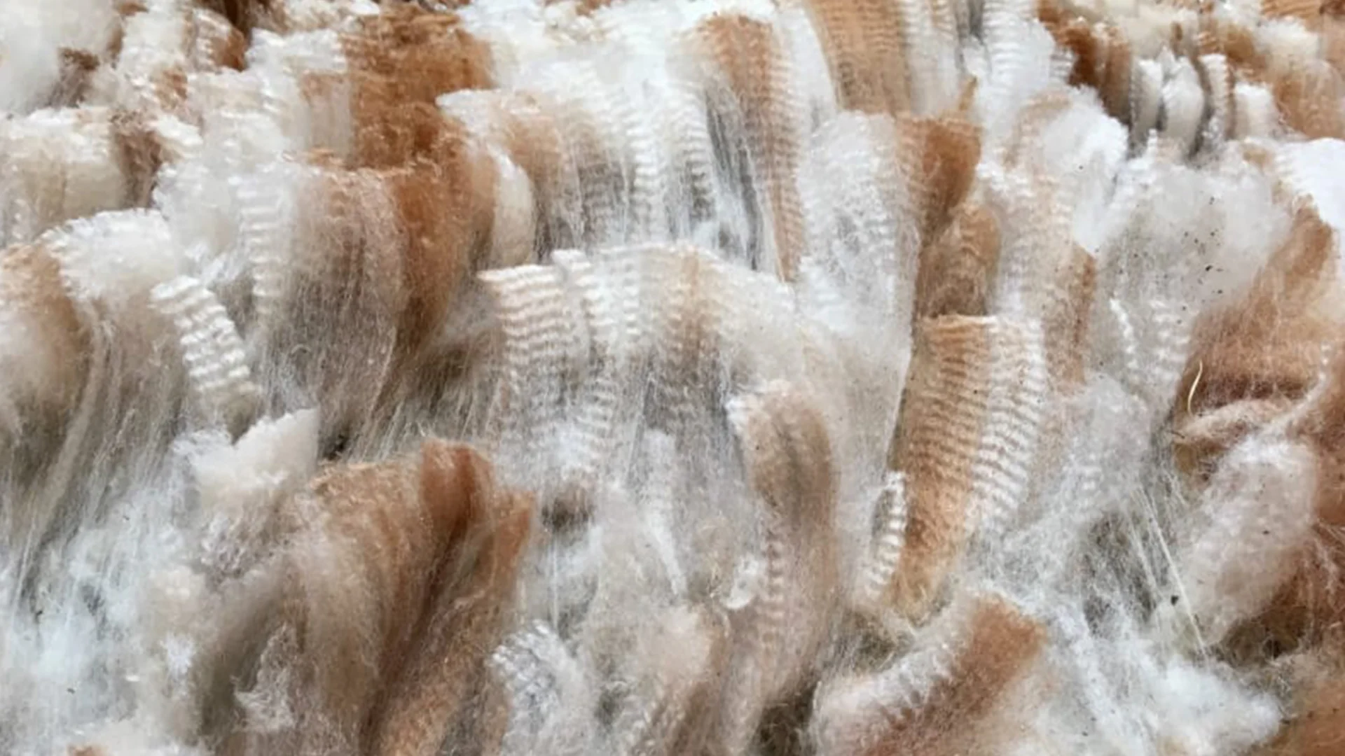 Fleece van Worker zijn zoon Blue Moon Tiger