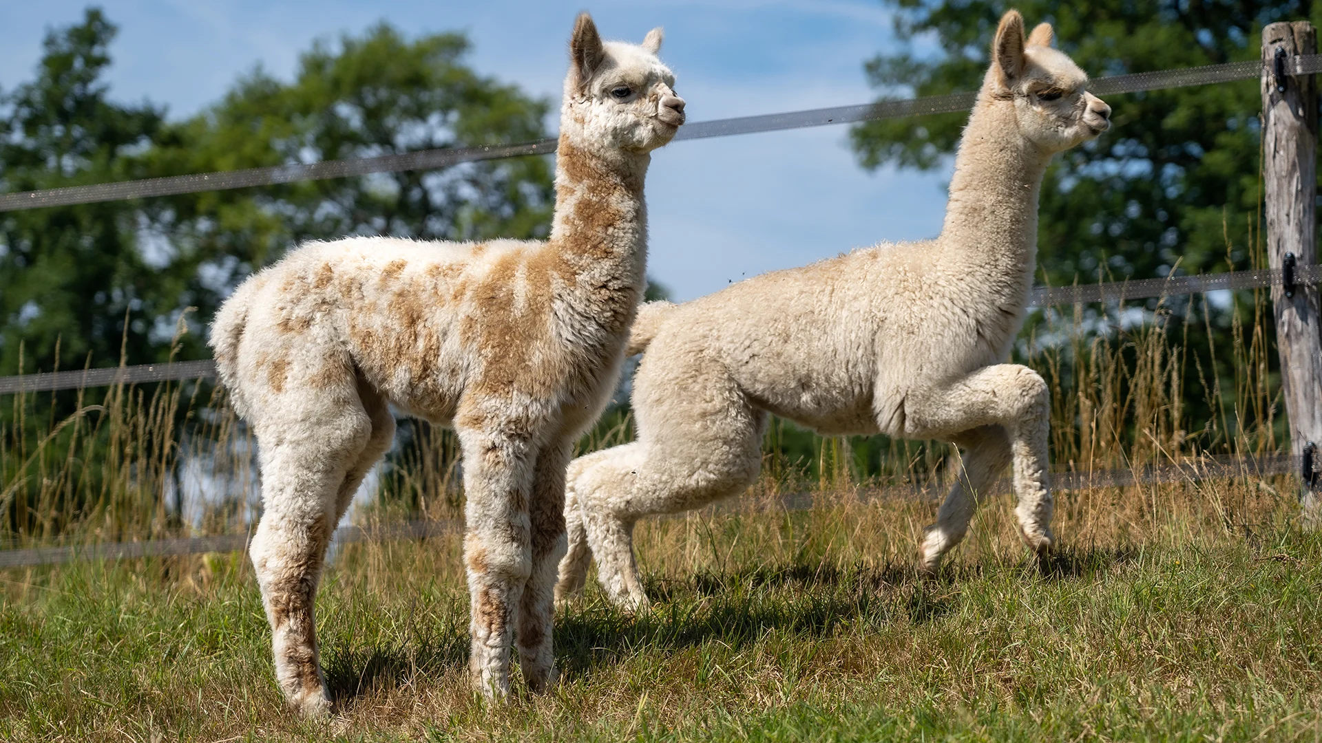 Worker-zoon Herfte Charles
