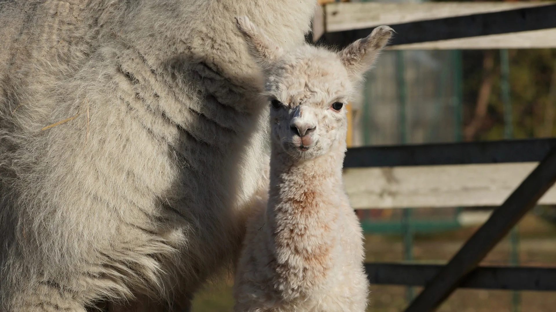 Worker zoon Streetworker