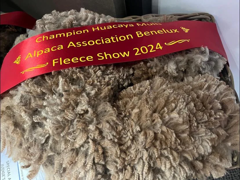 Fleece Bonzai AAB Fleeceshow '24