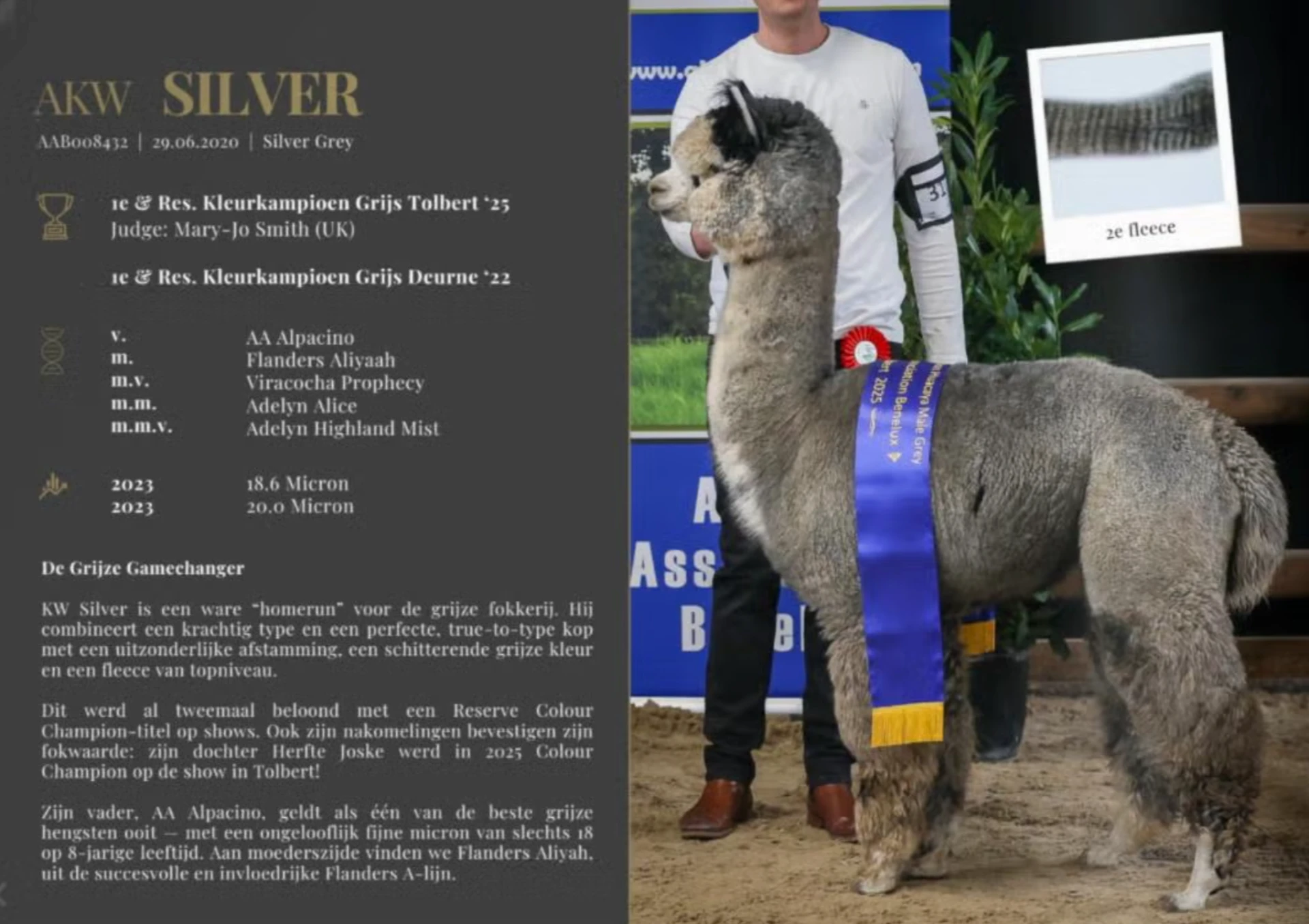 Silver, vader van Sassy